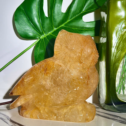 Natural crystal Golden Healer Owl